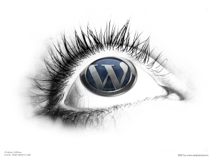 Wordpress Eye (1024x768)